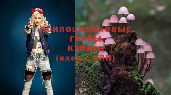 ECSTASY Балахна