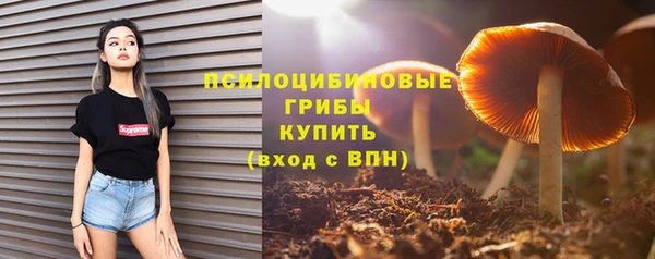 ECSTASY Балахна